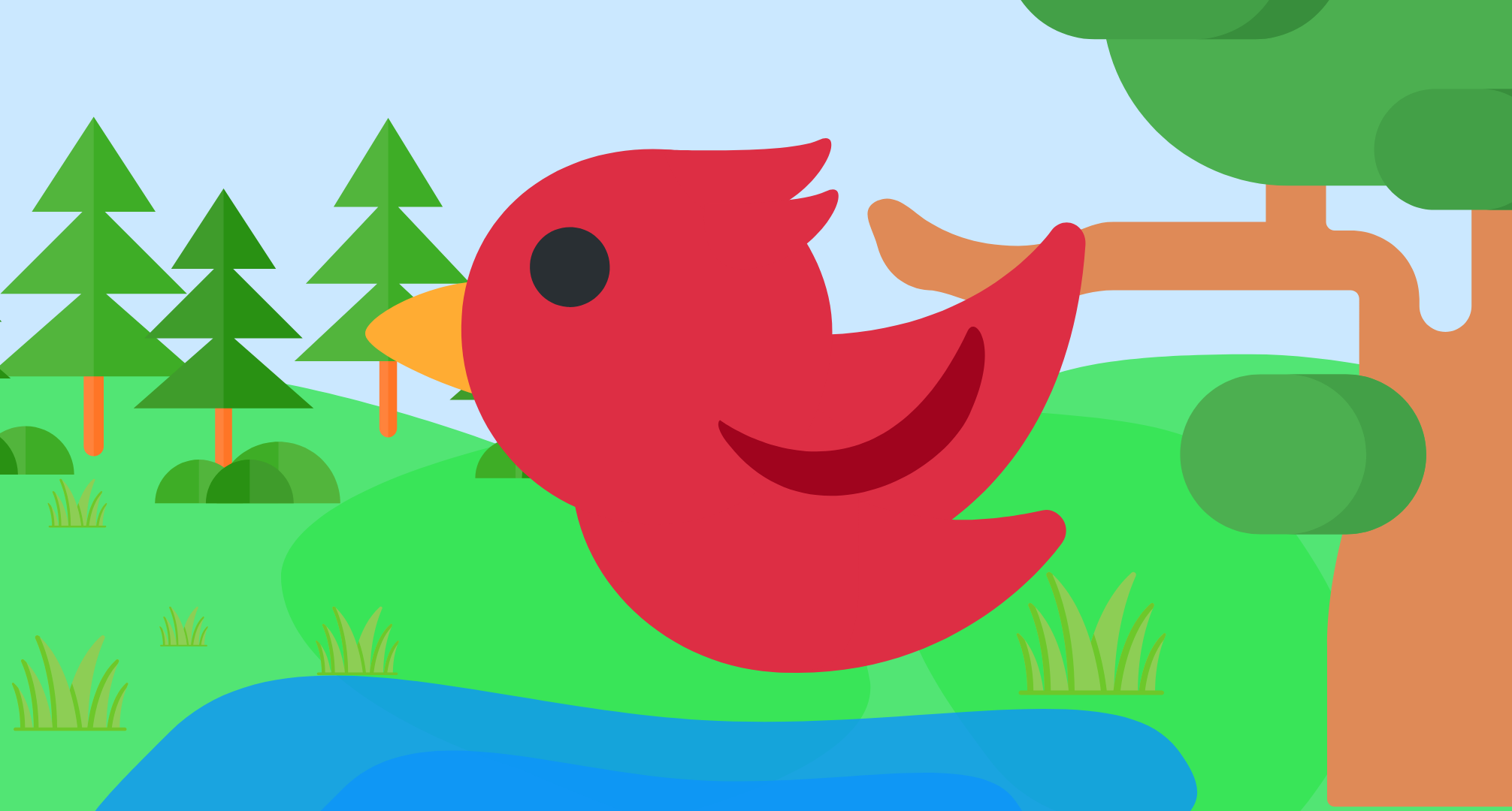 Bird Shooter